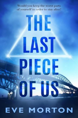 The Last Piece of Us