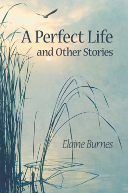 A Perfect Life and Other Stories