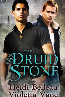 The Druid Stone (Layers of the Otherworld 1)