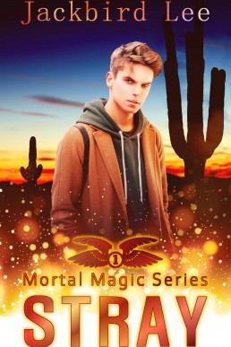 Stray (Mortal Magic #1)