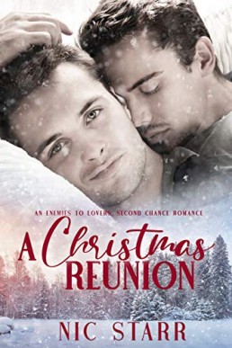 A Christmas Reunion