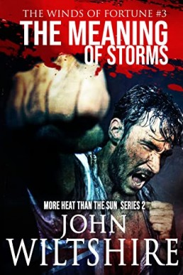 The Meaning of Storms (The Winds of Fortune Book 3)