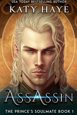 Assassin (The Prince's Soulmate 1)