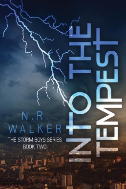 Into the Tempest (The Storm Boys 2)