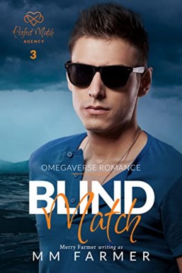 Blind Match (Perfect Match Agency 3)