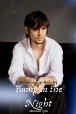 Bump in the Night (Medium at Large Book 1)