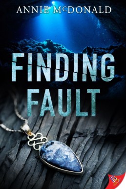 Finding Fault