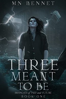 Three Meant To Be (Branches of Past and Future Book 1)