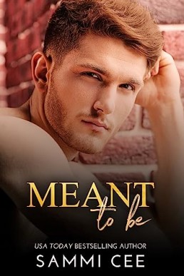 Meant To Be (Love On Tap Pain & Healing 1)