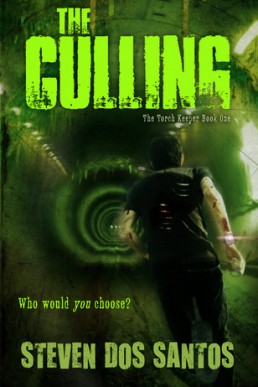 The Culling (The Torch Keeper #1)