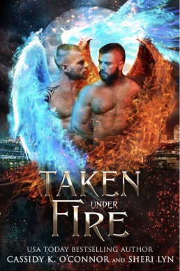 Taken Under Fire (Paranormal Investigative Service 3)