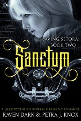 Sanctum (Saving Setora #2)