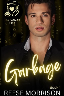 Garbage (The SPARK Files 1)