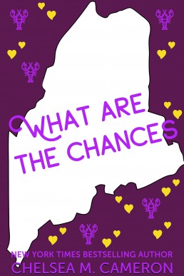 What Are the Chances (Love in Vacationland Book 2) New Edition 2023