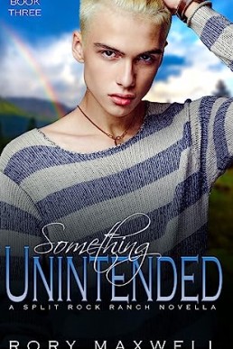 Something Unintended (Split Rock Ranch #3)