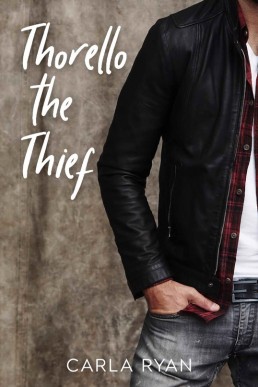 Thorello the Thief (Mister Rainbow Heights 2)