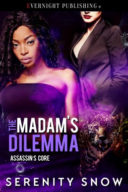 The Madam's Dilemma (Assassin's Core Book 7)