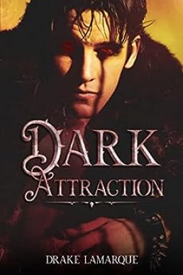 Dark Attraction (Dark Attraction 1)