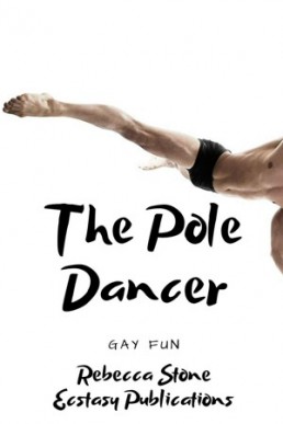 The Pole Dancer: Gay Fun