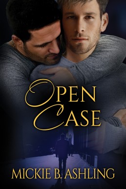 Open Case (Open 3)