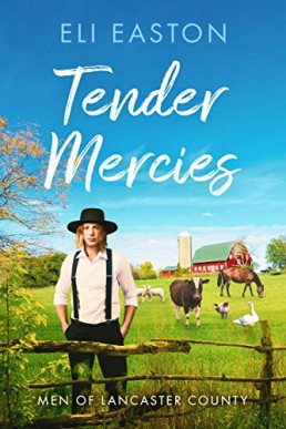 Tender Mercies (Men of Lancaster County 2, 2nd Ed. 2020)