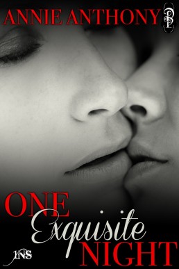 One Exquisite Night (1Night Stand Series)