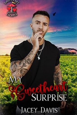 My Sweetheart Surprise (Sweetheart Escapes 2)