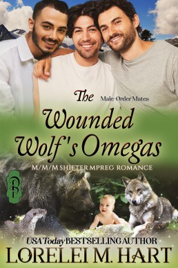 The Wounded Wolf's Omegas (Male-Order Mates 12)