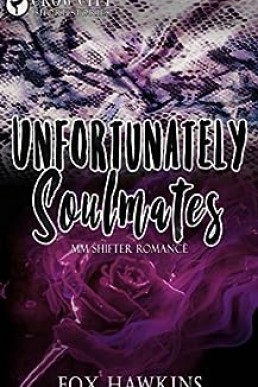 Unfortunately Soulmates (Crow City Short Stories #2)