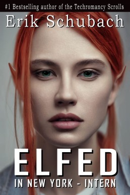 Intern (Elfed In New York Book 1)