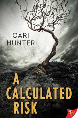 A Calculated Risk (Jo Shaw Series Book 1)