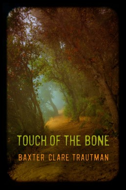 Touch of the Bone (Detective L.A. Franco Mysteries #7)