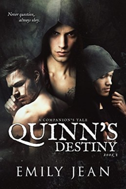 Quinn's Destiny (A Companion's Tale 1)