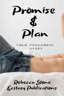 Promise & Plan: Their Passionate Story