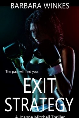 Exit Strategy (Joanna Mitchell Thrillers Book 2)