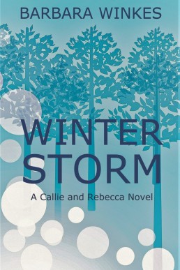 Winter Storm: A Small Town Lesbian Romance Novel (Callie & Rebecca Series Book 2) (NEW COVER)