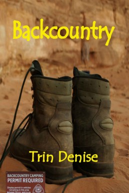 Backcountry (The Campground Murder Mysteries Book 1)