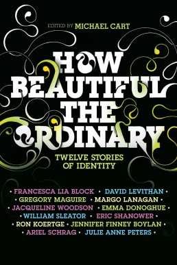 How Beautiful the Ordinary: Twelve Stories of Identity