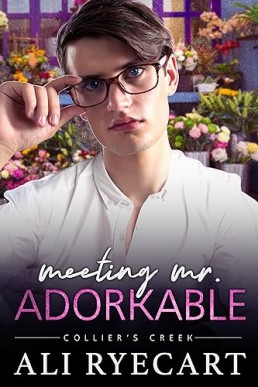 Meeting Mr. Adorkable (Collier's Creek 5)