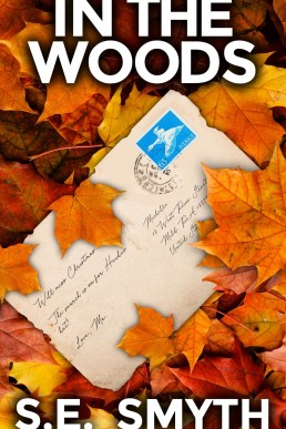 In the Woods: A Gripping Lesfic Crime Thriller Novel