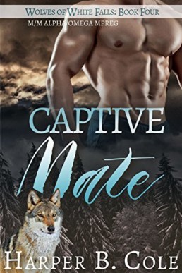 Captive Mate (Wolves of White Falls 4)