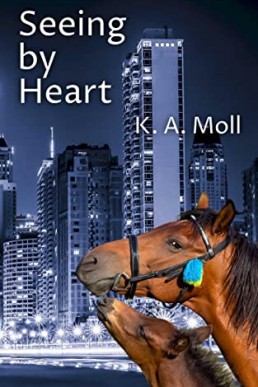 Seeing by Heart (B & B #2) (New Cover)