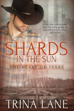 Shards in the Sun (The Heart of Texas 1)