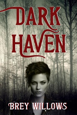 Dark Haven (New Cover)