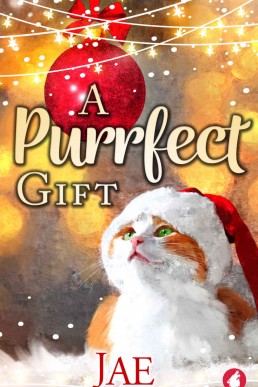 A Purrfect Gift (Matchmaking Cats Book 2) (New Edition)