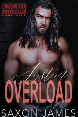 System Overload (Divorced Men's Club 5)