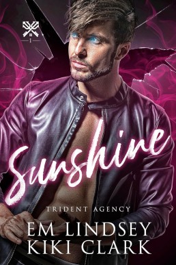 Sunshine (Trident Agency 1)