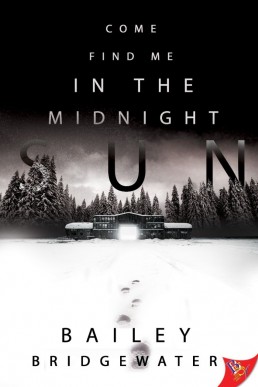 Come Find Me in the Midnight Sun (Louisa Linebach Mysteries #1)