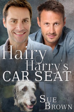 Hairy Harry's Car Seat (Lyon Road Vets 1)