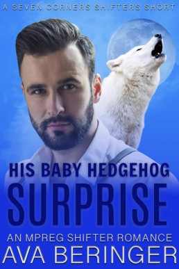 His Baby Hedgehog Surprise (Seven Corners Shifters 3.5)